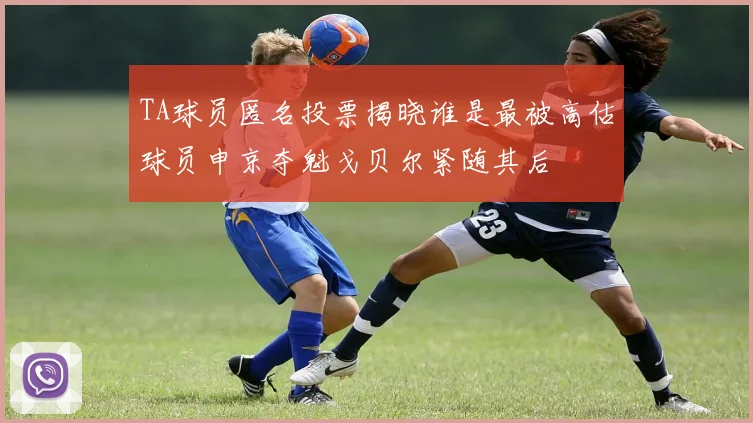 TA球员匿名投票揭晓谁是最被高估球员申京夺魁戈贝尔紧随其后